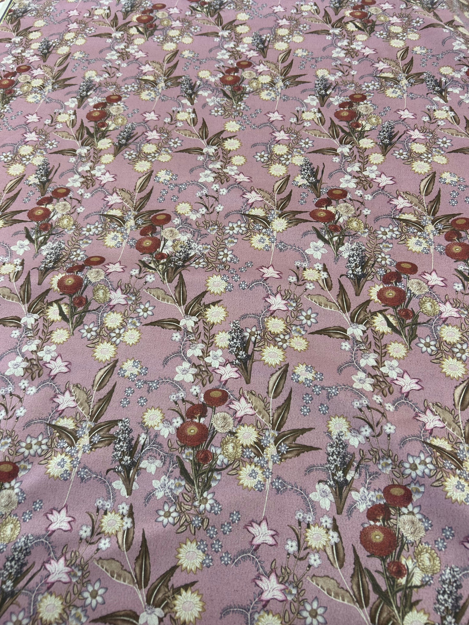 Foliage on Pink Background