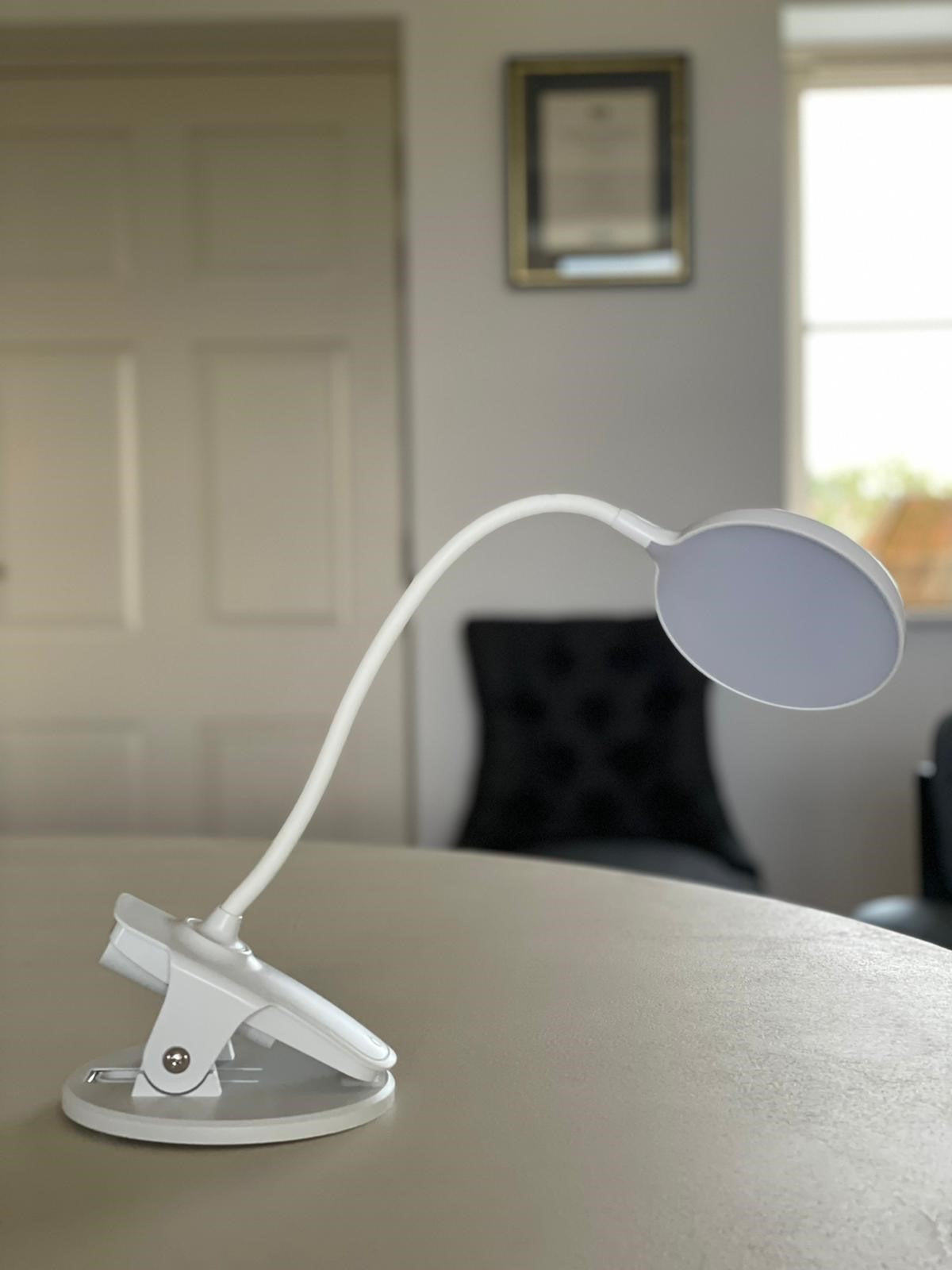 Clip on Mini Light by Native Lighting (N4239)