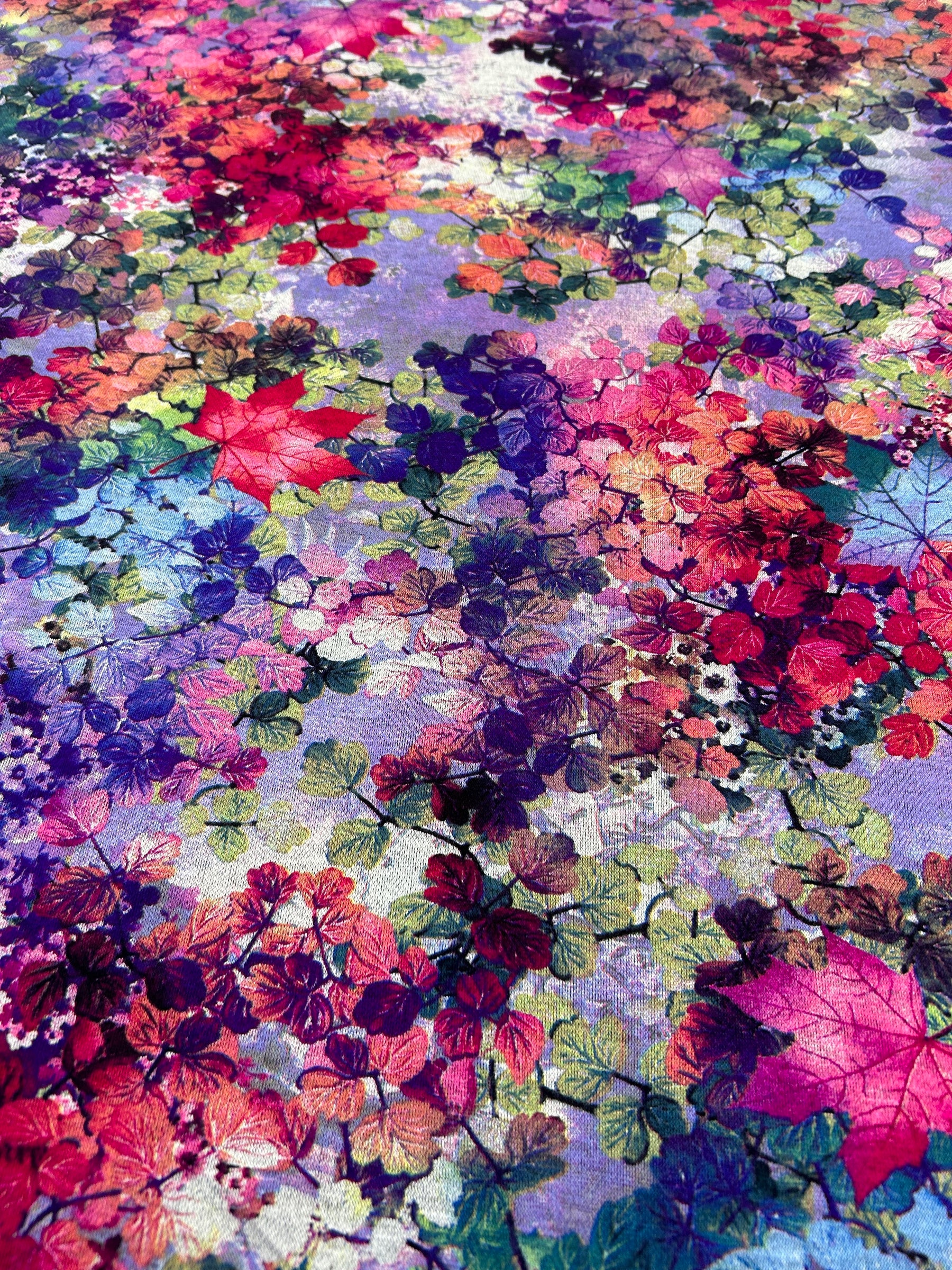 Colour Burst Leaves & Flowers on Purple Background